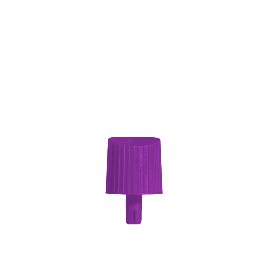 LEGO PURPLE