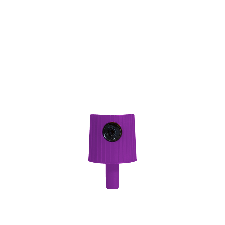 LEGO PURPLE